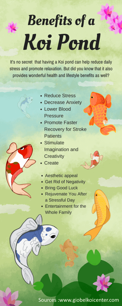 relaxing hobbies koi fish therapeutic effects