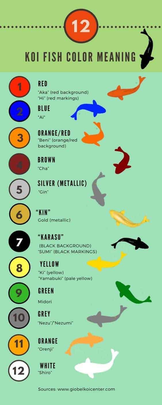 koi fish color meaning chart