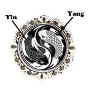 koi fish yin yang