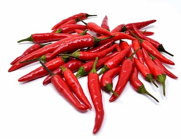 chilli pepper for koi food