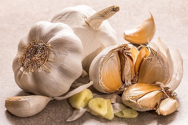 garlic for koi food