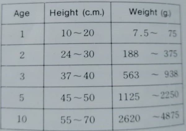 koi fish anatomy height and weight relative to age of koi fish