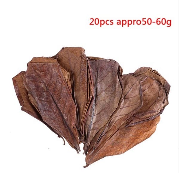 indian almond leaves