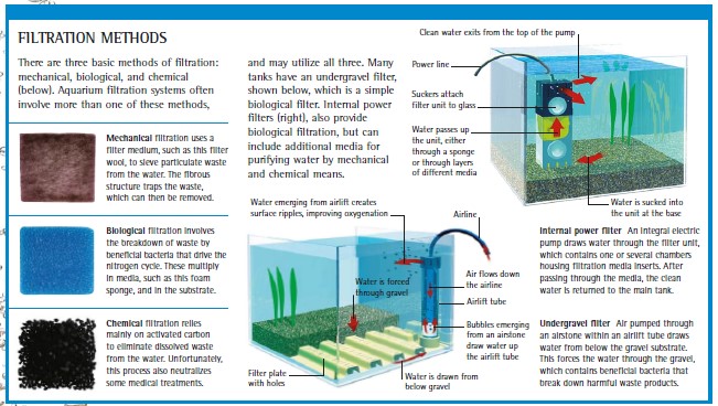 plax cascade canister aquarium filter simple guide to aquarium filtration filtration methods