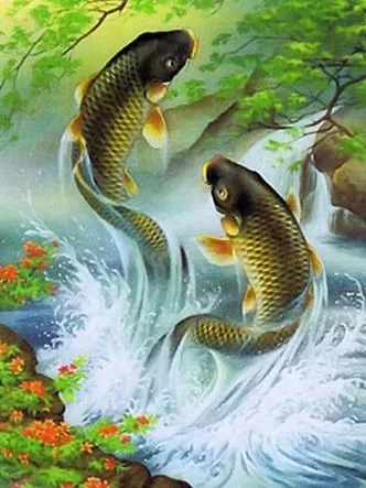 what is the spiritual meaning of the koi fish swimming upstream