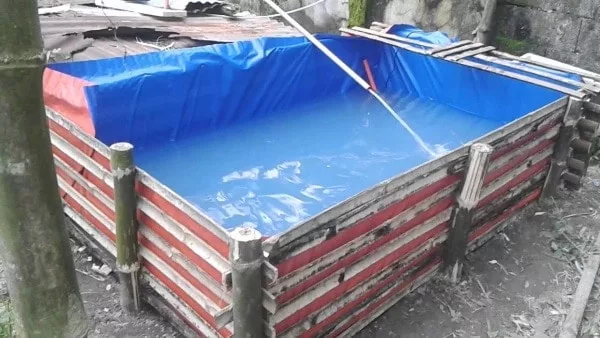 how to make trapal pond pond made up of tarpaulin fish pond(trapal)