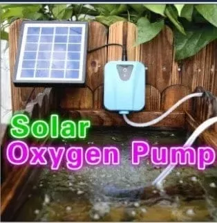 solar powered pond aerator power outage? 5 things to do with your koi pond during power outage