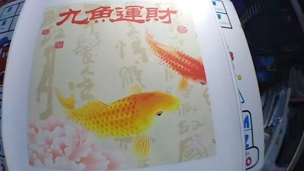 9 koi fish painting golden lotus flower chinese calligraphy painting