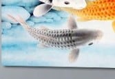 gray koi fish Nezu/nezumi