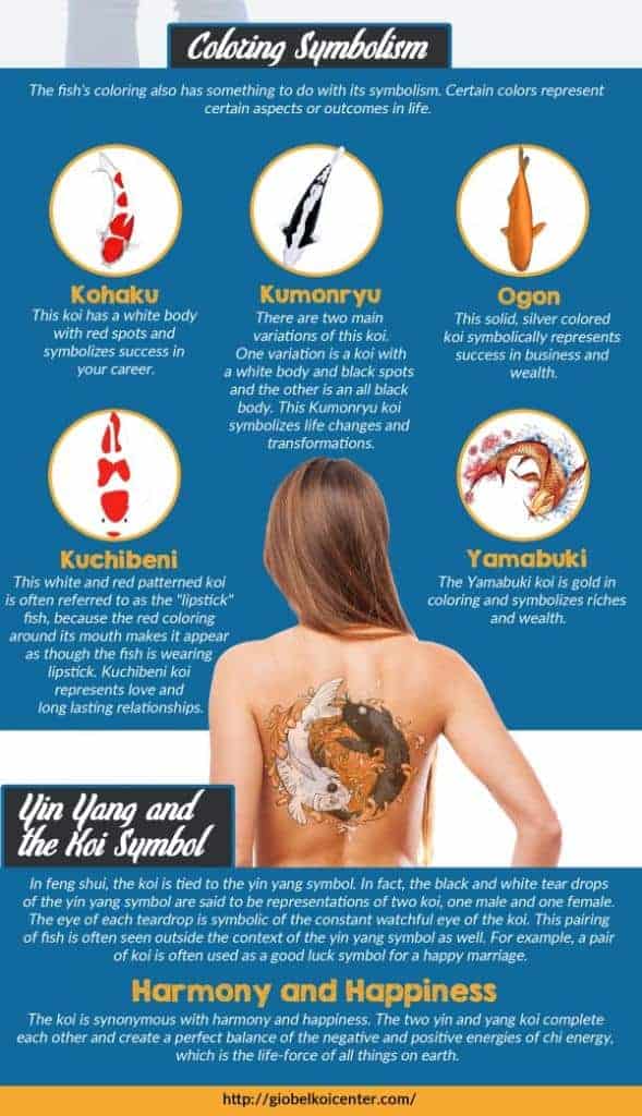 koi fish meaning in koi fish tattoo infographic