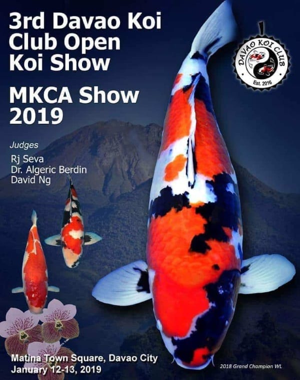 3rd Davao Koi Club Open Koi Show! 2019