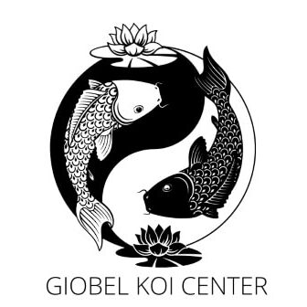 Giobel Koi Center Koi Farm – Beautiful Japanese Koi Fish For Sale Philippines