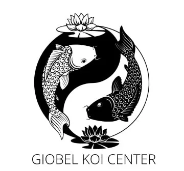 About us giobel koi center logo