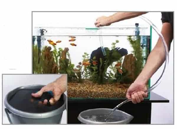 how to clean a fish tank how to unclog fish tank filter