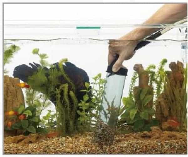 how to unclog fish tank filter how to clean a fish tank