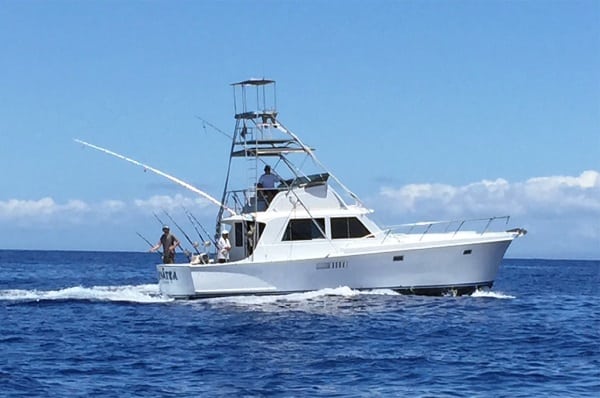 Why is opting for a fishing charter considered a relaxing experience?