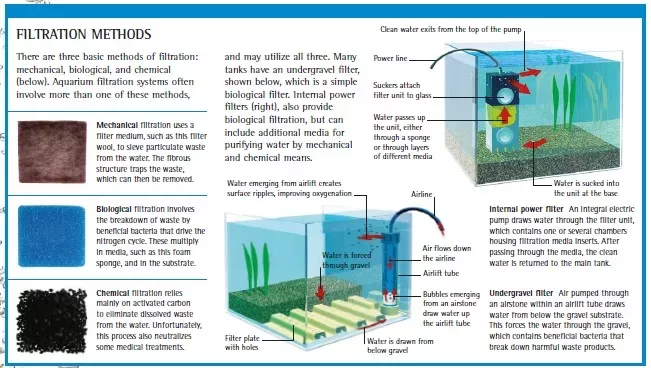 simple guide to aquarium filtration filtration methods