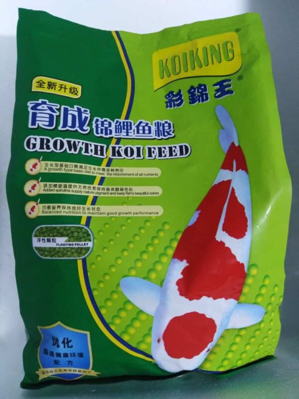 koi king koi food growth