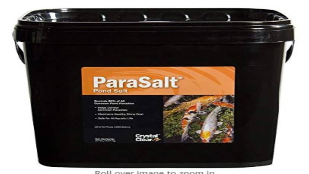 what kind of salt to use in koi pond How to Boost Koi Health and Control Parasites: Non-Iodized Rock Salt and Pond Salt for Optimal Pond Care 2