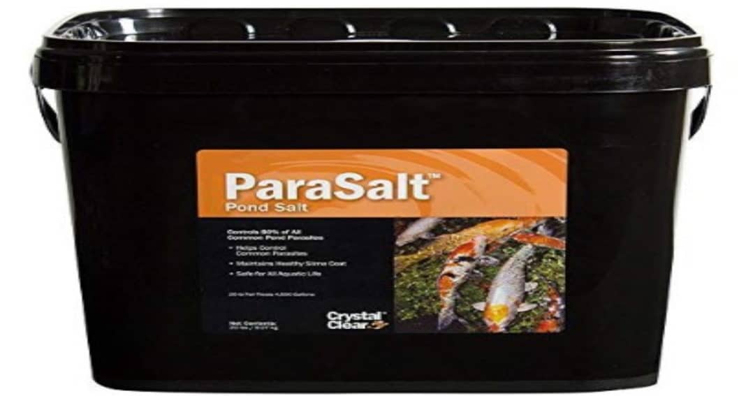 what kind of salt to use in koi pond How to Boost Koi Health and Control Parasites: Non-Iodized Rock Salt and Pond Salt for Optimal Pond Care