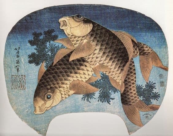 koi fish in japanese culture