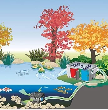 koi pond design ideas Factors to Consider When Creating a Fish Pond Design