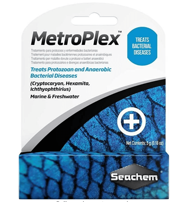 metronidazole for fish