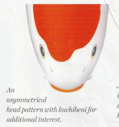 an asymmetrical kohaku head pattern with kuchibeni 