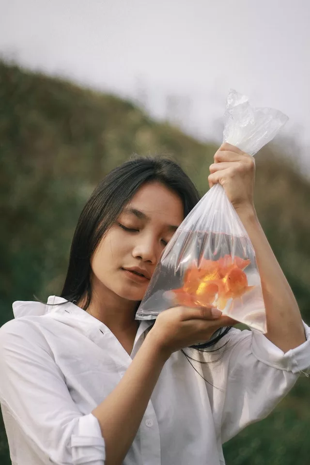 how to care for a goldfish 