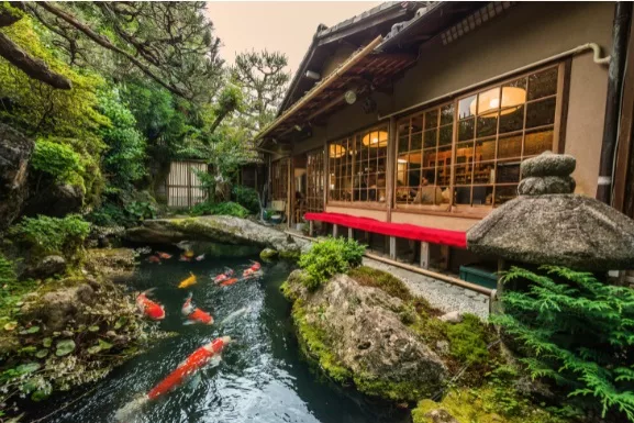 The Ultimate Guide to Creating a Serene Koi Pond