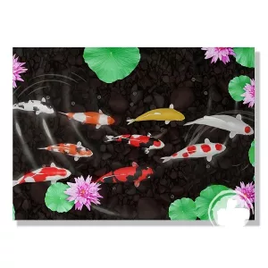 9 koi fish painting shiro utsuri, sanke, showa, hi utsuri, yamabuki, tancho kohaku, maruten kohaku, inazuma kohaku and 3 step kohaku
